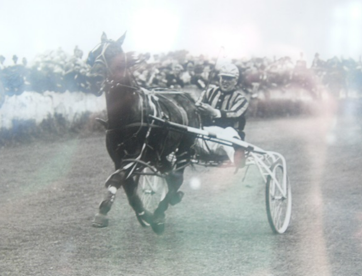 George Smyth Cart Racing Trotting Racing Airboy